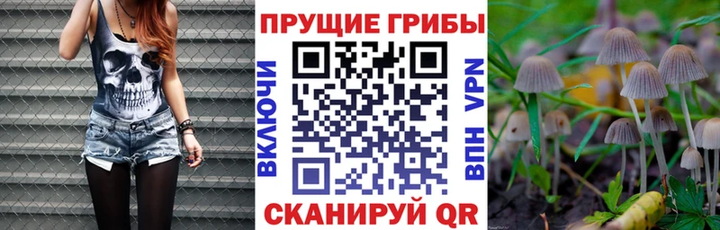что такое наркотик Опочка Галлюциногенные грибы Psilocybine cubensis